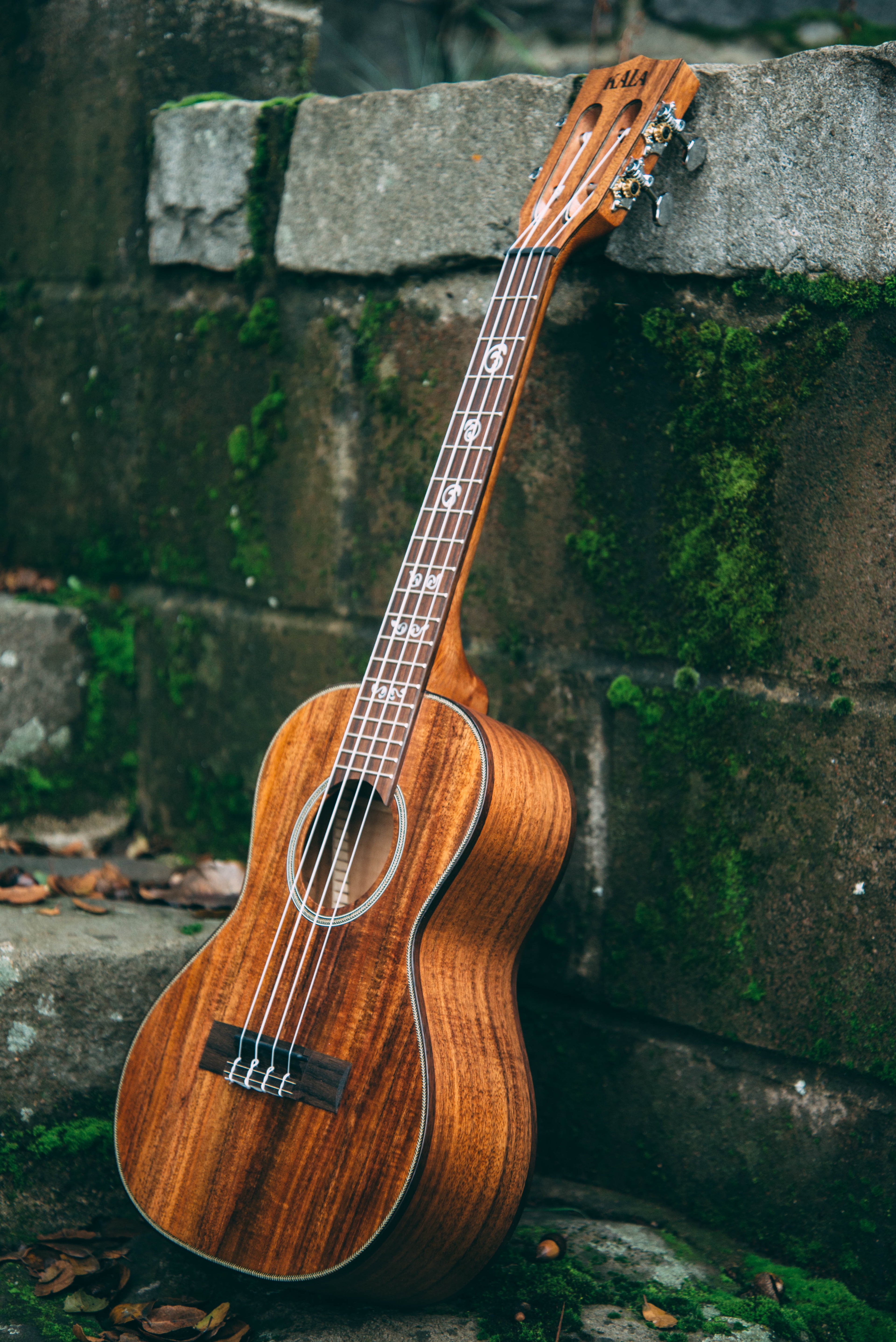 Premium Ukuleles