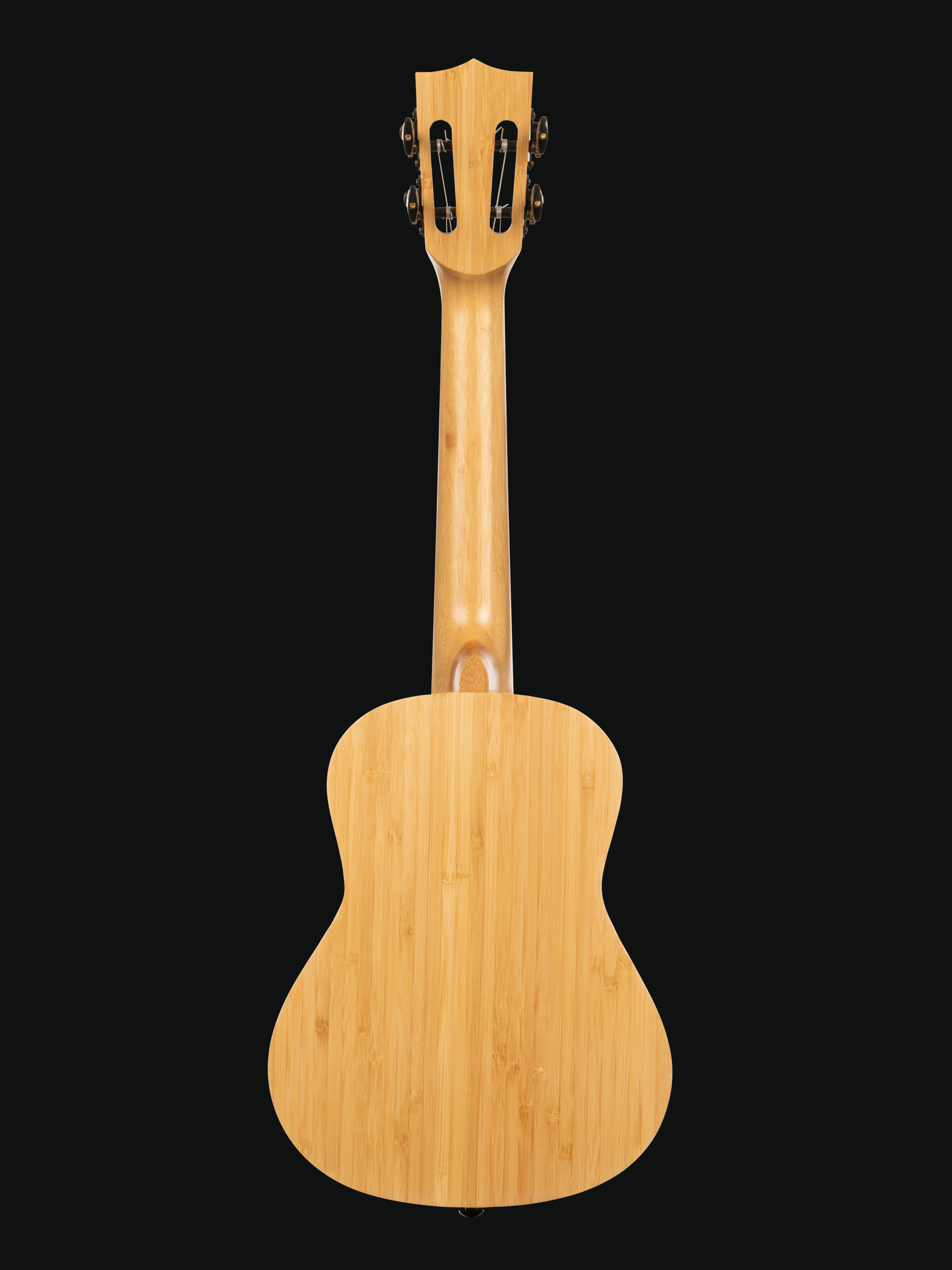 Kala Bamboo Ukulele with Kala Gig Bag - CONCERT SIZE