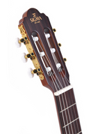 Sigma Classical Guitar - Cutaway with EQ