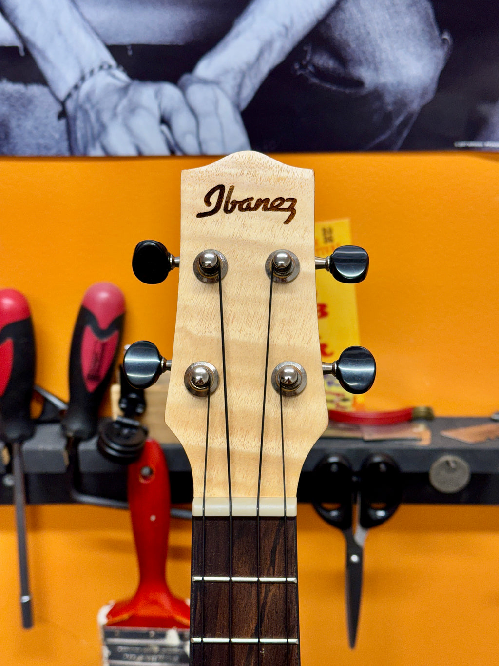 Ibanez Acoustic-Electric Concert Ukulele with Gig Bag - PRE-OWNED